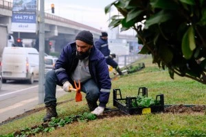 YALOVA BELEDİYESİ’NDEN YEŞİL ALANLARDA PEYZAJ ÇALIŞMASI