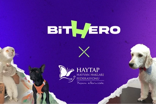 Haytap ve BitHero Kripto güçlerini birleştirdi