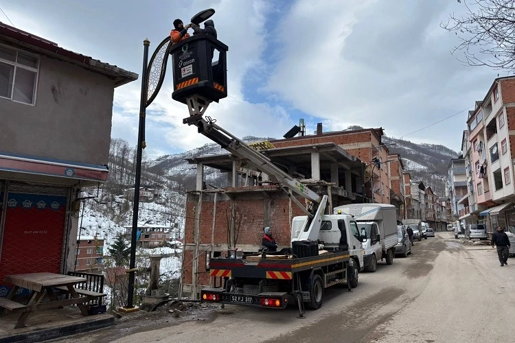 Ordu Tepealan ışıl ışıl oluyor