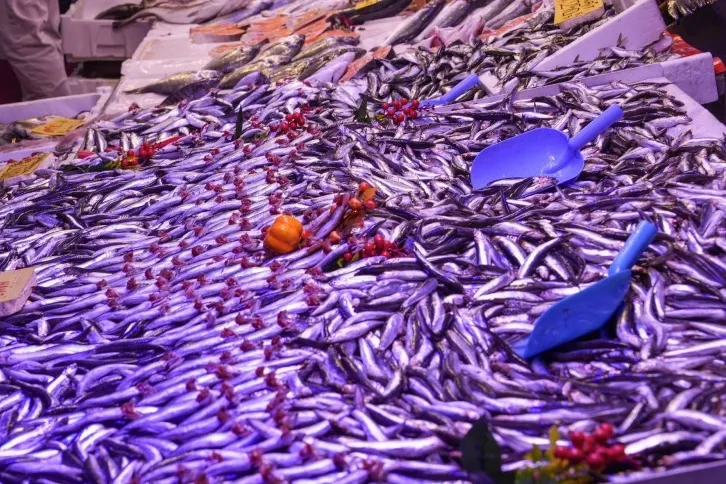 Eskişehir’de balık satış yerlerine ortak denetim