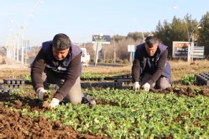 Çiçeklendirme çalışmaları devam ediyor