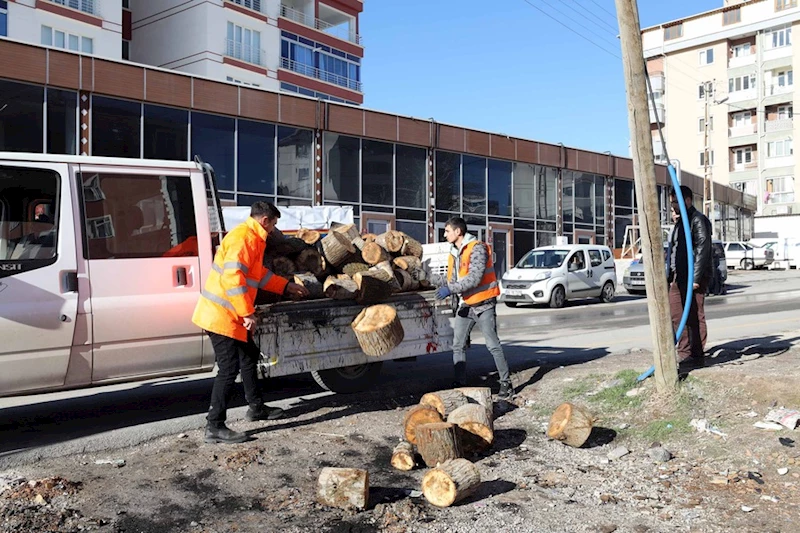 Yenimahalle’de Budanan Dallar İhtiyaç Sahiplerine Yakacak Olarak Dağıtılıyor