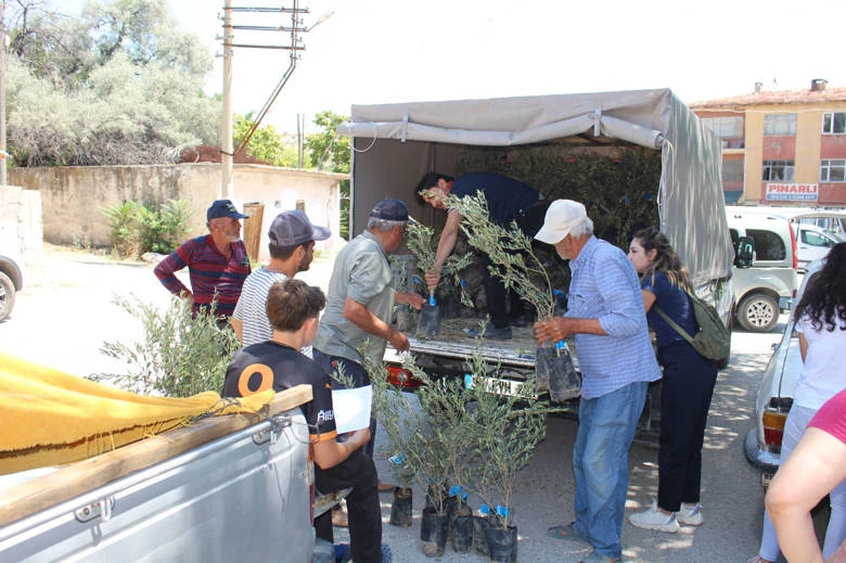 Büyükşehir’den 19 ilçeye 40 bin zeytin fidanı desteği