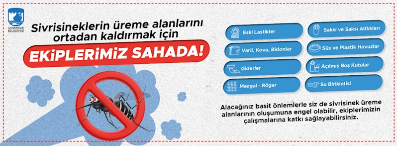 Sivrisineklerin Üreme Alanlarını Ortadan Kaldırmak için Ekiplerimiz Sahada!