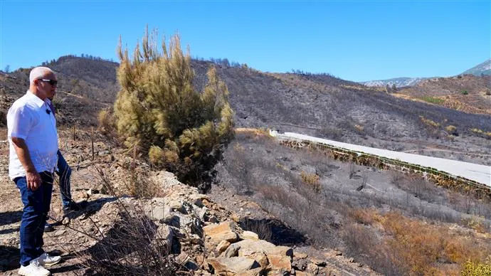 BAŞKAN ÖZÇELİK: YANGINLARA KARŞI YEŞİL BANT UYGULAMASI BAŞLATIYORUZ