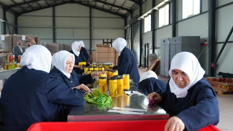 Gürsu Ovası'nda Kadın Emeğiyle Doğal Turşu Üretimi