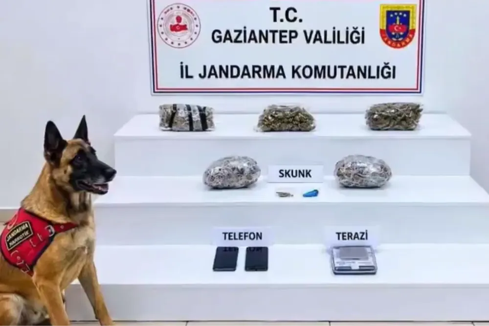 32 ilde yüzlerce kilo uyuşturucu ele geçirildi