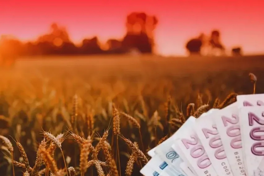 TMO’dan üreticilere 4,2 milyar liralık ürün bedeli ödemesi