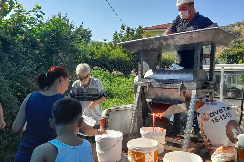 İzmir Efes Selçuk'ta kışlık domates hazırlığı