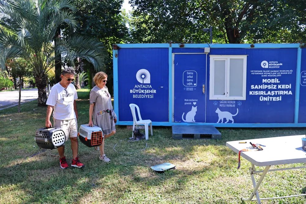 Antalya'da hayvan dostu çalışmaları sürüyor