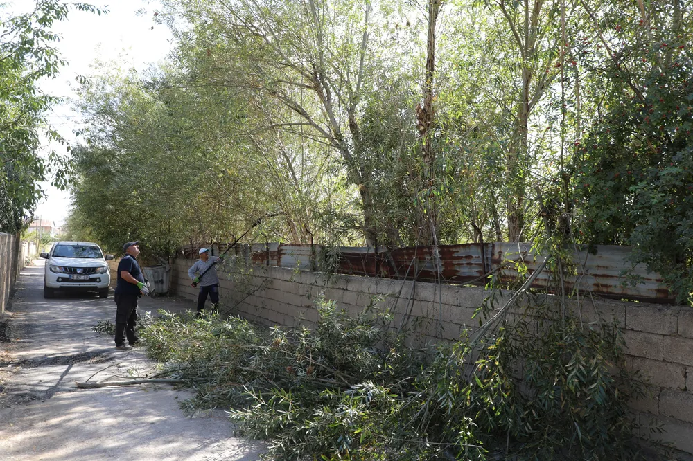 Altıntepe Mahallesi'nde Trafik Güvenliği İçin Ağaç Budama Çalışması